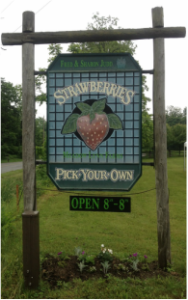 Pick Your Own Strawberries