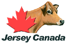 Jersey Canada